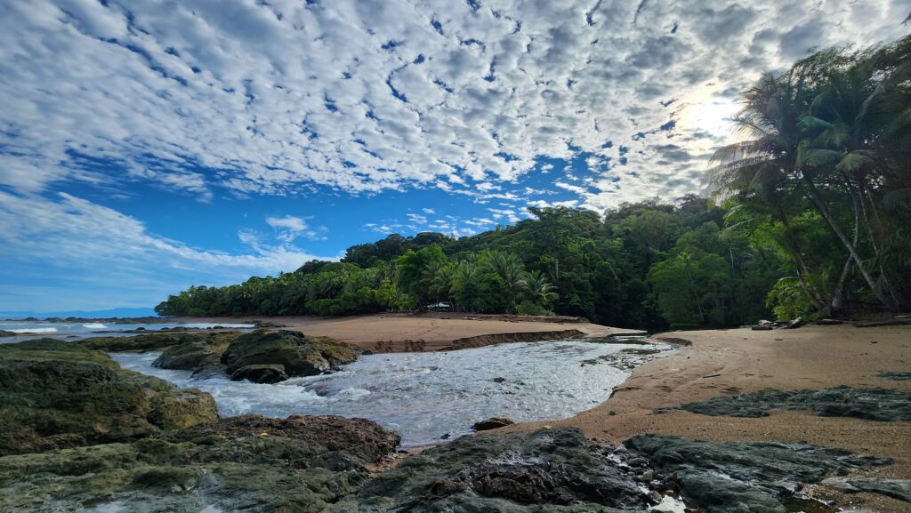 nature escapes costa rica bahia drake puerto jimenez zona sur