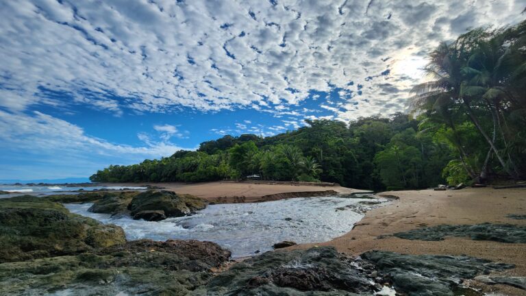 nature escapes costa rica bahia drake puerto jimenez zona sur